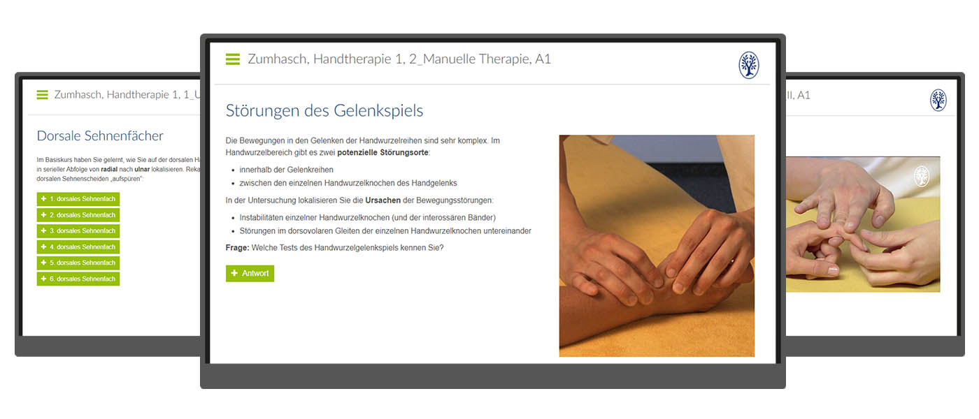 Handtherapie