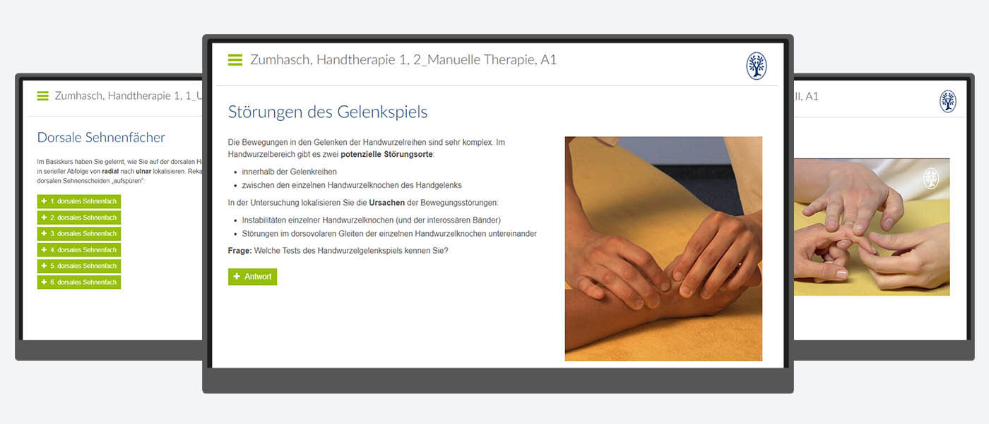 Handtherapie 1_coloured-background_1400x600 Handtherapie